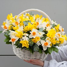 Заказать Цветочная композиция "Корзинка с нарциссами" с доставкой в Charlotte.ru Цветочная композиция "Корзинка с нарциссами"